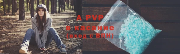 ГАЛЛЮЦИНОГЕННЫЕ ГРИБЫ Коряжма