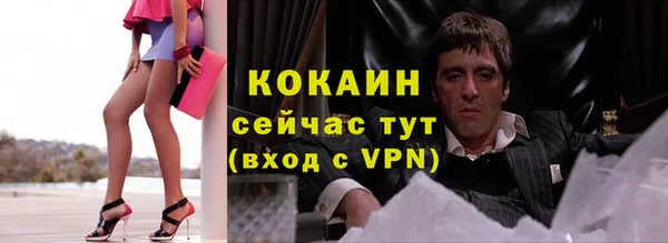 ГАЛЛЮЦИНОГЕННЫЕ ГРИБЫ Коряжма