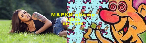 ГАЛЛЮЦИНОГЕННЫЕ ГРИБЫ Коряжма